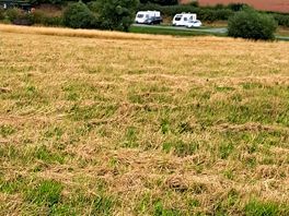 From the top of dog walk looking back at site