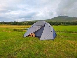 Set up in the lower field