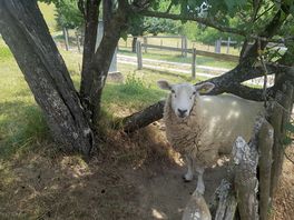 Meet the neighbours ...