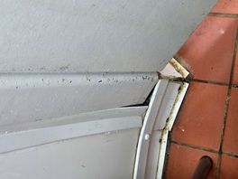 Just grot everywhere