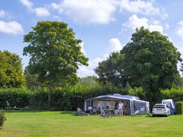 Shaded pitches surrounded by trees