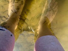 The fishes in the lake giving me a pedicure!
