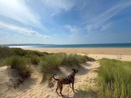 Beach and dunes