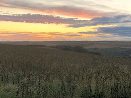 Evening view from camping pod