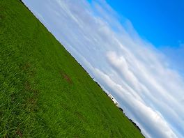 Field view