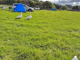 View from our pitch