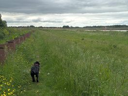 Walk along the river