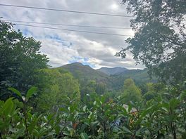 View from site