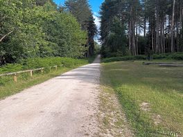 Easy walking paths