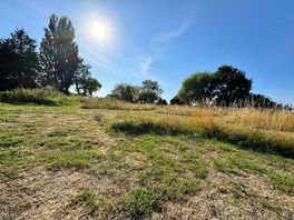 Field