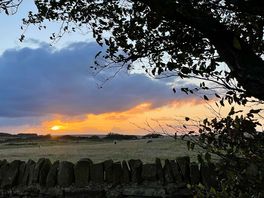 Sunser