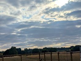 Beautiful sky and one happy dog in enclosed pitch