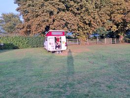 Evening sunshine!