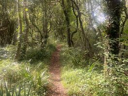 Woodland trails