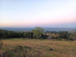 Views