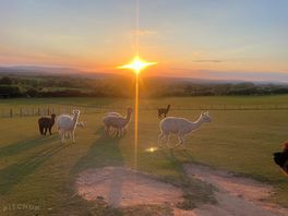 Another stunning sunset