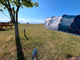 Chilling in the sun