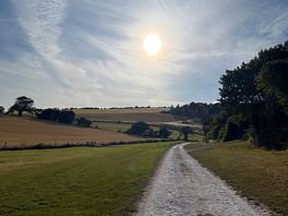 Trail up to the camp
