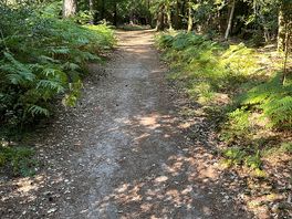 Walk