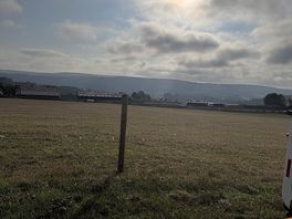 Taken from the open back doors of our van, early morning.