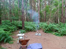 Camp