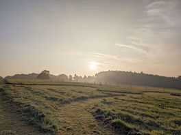 Misty morning