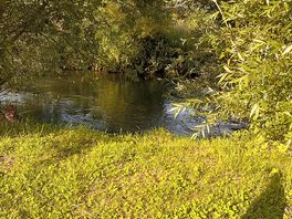 River behind the pitch