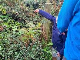 Lovely family friendly walks on the doorstep
