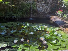 ‘garden of eden’