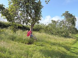 Swing