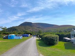 View from tent in field 6