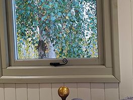 View from inside