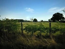 Evening time