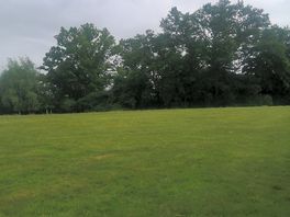 View from the tent