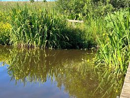 Beautiful loch for fishing and boating