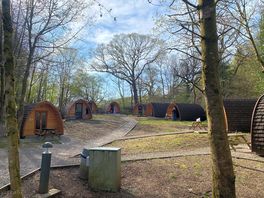 The pods