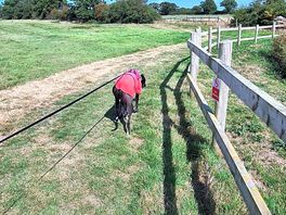 Having a mooch