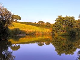 Lake view