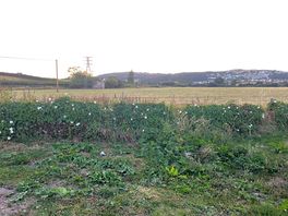 Fields
