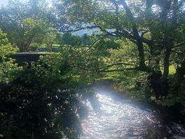 Just beautiful. the sound of the stream right by our van pitch.
