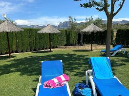 Plenty of loungers available