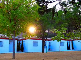 Cottages