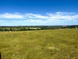 View from the pitches