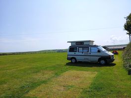 Velma at great kellow.