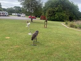 Owls