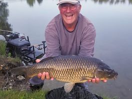 12lbs