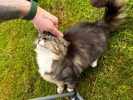 Twinkle got lots of attention