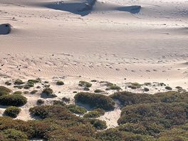 Rolling sand dunes