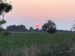 Lovely sunset on site