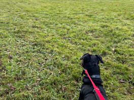 On a nearby walk